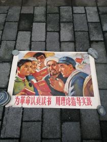 宣传画：为革命认真读书，用理论指导实践（约77/53cm）见图