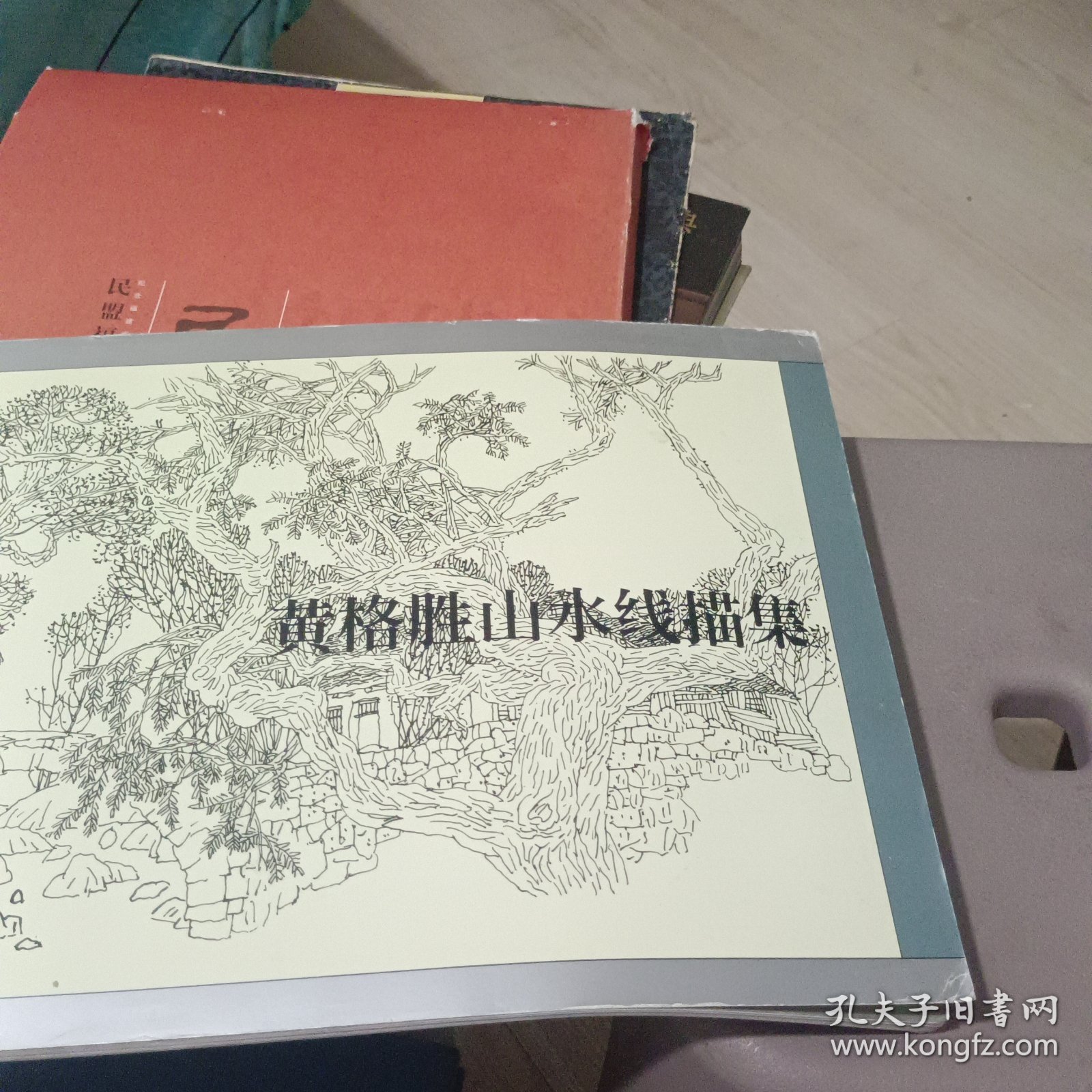 黄格胜山水线描集
