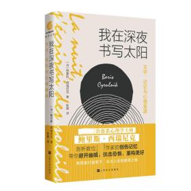 我在深夜书写太阳——文字、记忆与心理复原