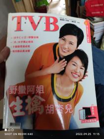 tvb等杂志，陈慧琳，郭富城林心如等等，欢迎咨询购买