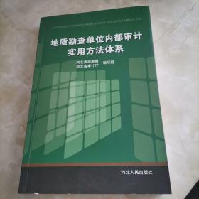 地质勘查单位内部审计实用方法体系