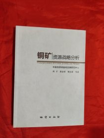 铜矿资源战略分析 【16开】