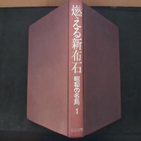 【日文原版书】昭和の名局 1 燃える新布石（昭和的名局  1 《燃烧的新布局》）