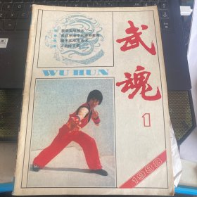 武魂 1988 1 不缺页 天启排子 泰拳实战技法1