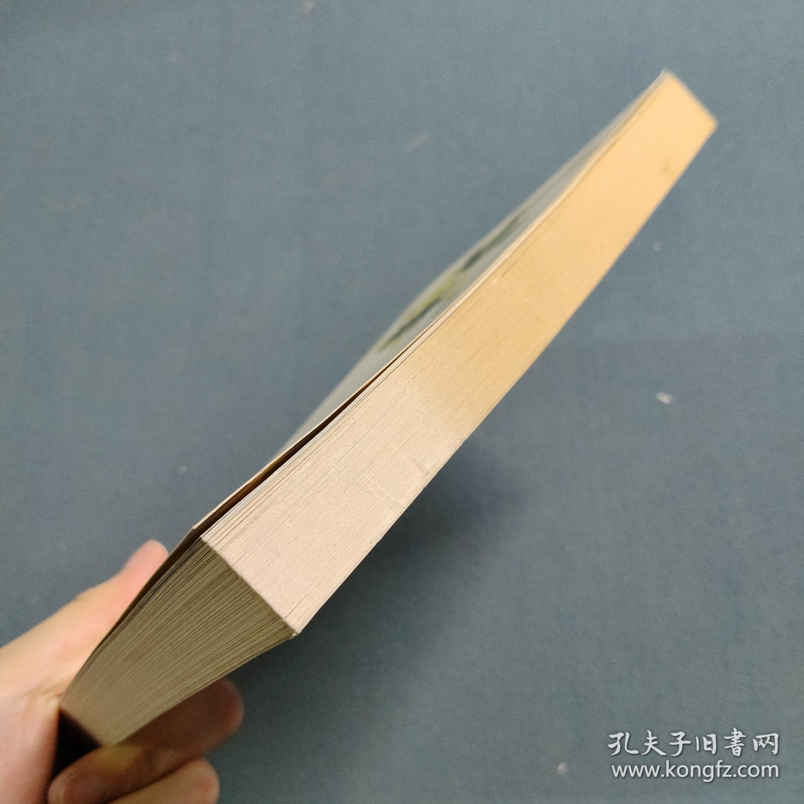 爱情是一条忧伤的鱼