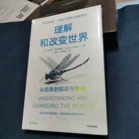 理解和改变世界：从信息到知识与智能