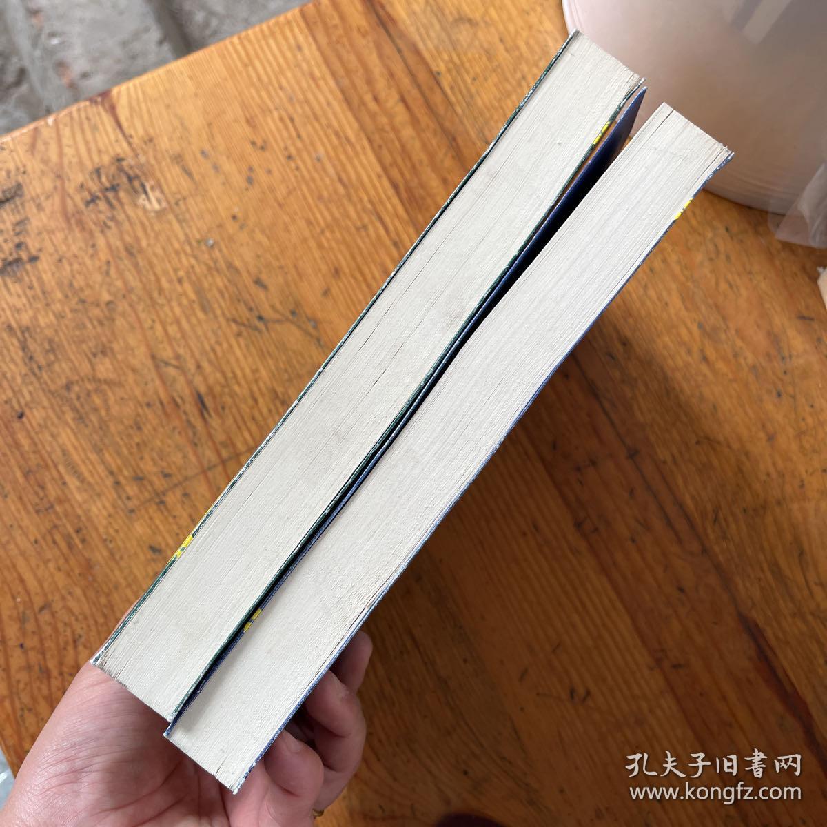 大唐狄公案·壹 叁】2本合售