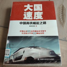 大国速度：中国高铁崛起之路
