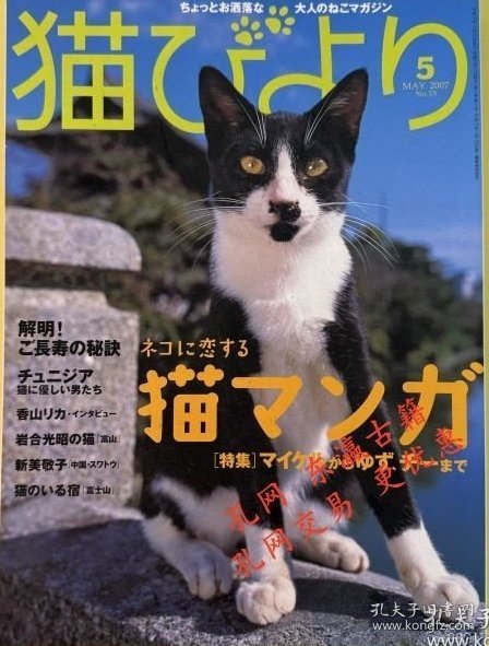 雷市場 ポンジャン ヴィンテ ジ 雑誌 ネコビ料理 05 猫 写真 フォトブック 執事 ネコ 日本 mlgjcxz jq80zzw 雷市场 杂志 料理 05 猫 写真 执事 日本