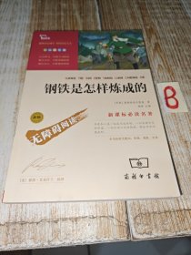 钢铁是怎样炼成的【包邮】