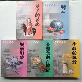 林海音文集 全五册