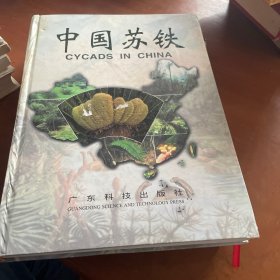 中国苏铁