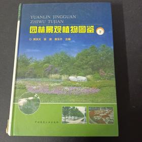 园林景观植物图鉴（下册） 【馆藏书】