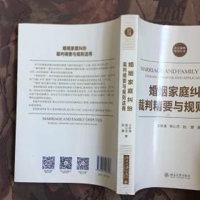 法官裁判智慧丛书：婚姻家庭纠纷裁判精要与规则适用