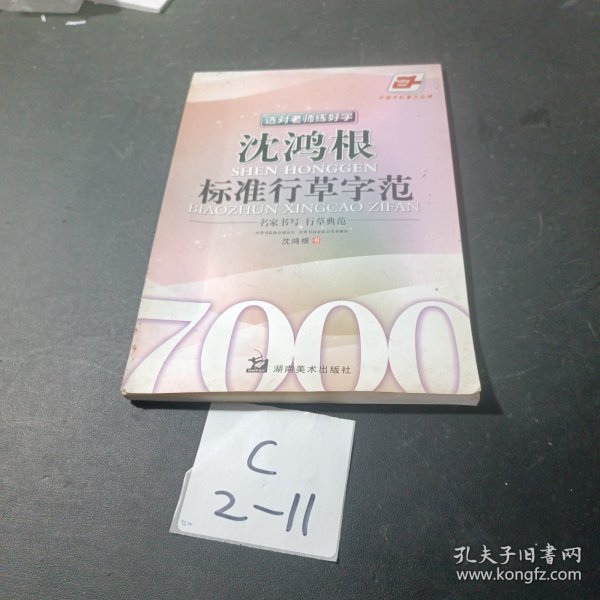 华夏万卷·选对老师练好字：沈鸿根标准行草字范