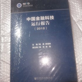 中国金融科技运行报告（2018）