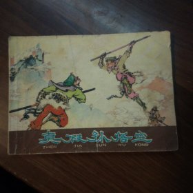 棕皮《西游记》之 21：真假孙悟空