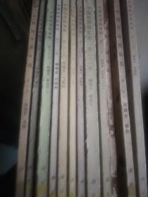 中国经济昆虫志 第五册 鞘翅目 瓢虫科