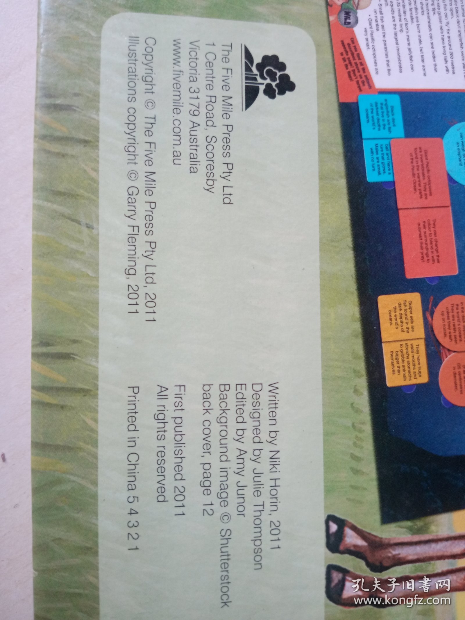 ANIMALS LIFE-THE-FLAP BOOK 动物翻翻书