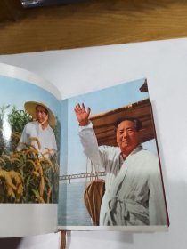 毛主席论无产阶级专政下继续革命