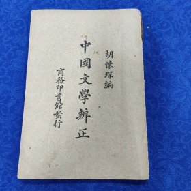 中国文学辨正