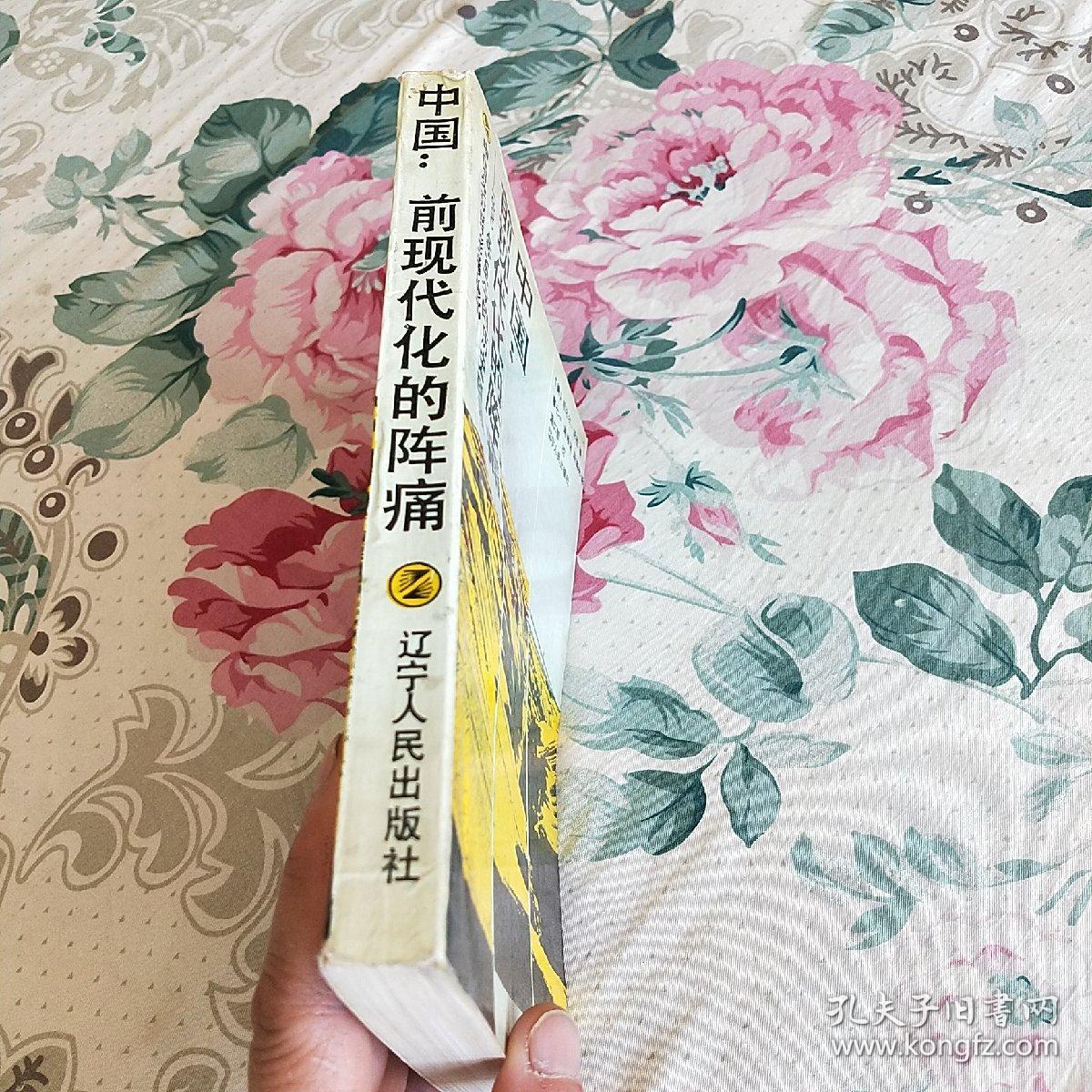 中国:前现代化的阵痛