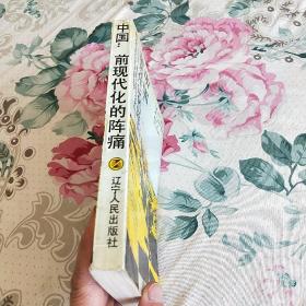 中国:前现代化的阵痛