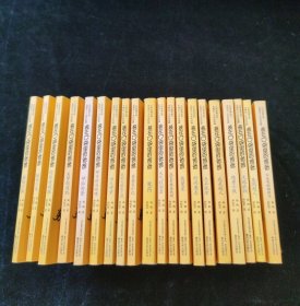 装在口袋里的爸爸（20册合售）