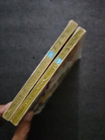 剑湖风流<上下册>老版武侠小说