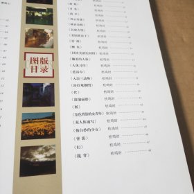 杭鸣时丁薇粉画作品集