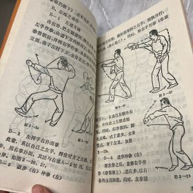 岳氏连拳—八翻手