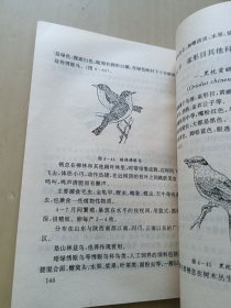 观赏鸟养殖利用技术