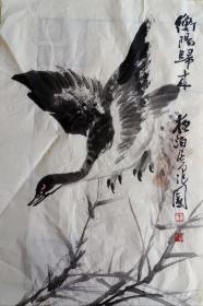 王学仲花鸟画软片