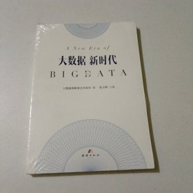 大数据 新时代（未拆封）