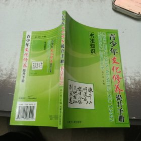 青少年文化修养提升手册 书法知识