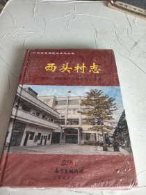 西头村志，