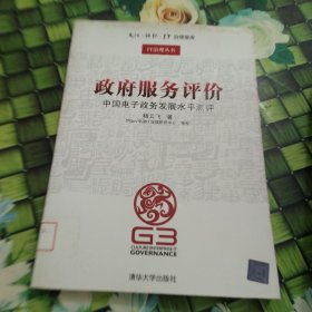 政府服务评价——中国电子政务发展水平测评（文化·组织·IT治理智库—IT治理丛书） 馆藏 正版 无笔迹