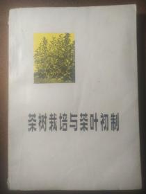 茶树栽培与茶叶初制