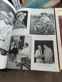 人民画报1976 11期 + 1976年增刊 +1977年 第一期 3册合售