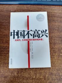 中国不高兴：大时代大目标及我们的内忧外患