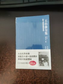 王小波全集（第五卷 长篇小说 剧本）：寻找无双 东宫·西宫