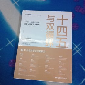 十四五与双循环:17位一线经济学家深度解读新发展格局（国内大循环国内国际双循环）