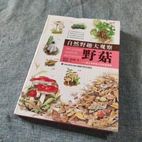 自然野趣大观察·野菇