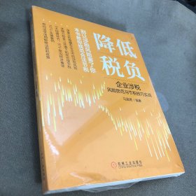 降低税负：企业涉税风险防范与节税技巧实战