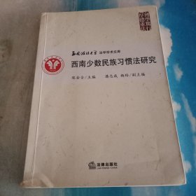 西南少数民族习惯法研究