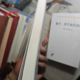 尖叫的数学-令人惊叹的数学之美（国际知名数学史专家，国际杂志《数学史》前主编翁贝托·博塔兹尼带你从数学的角度看世界）