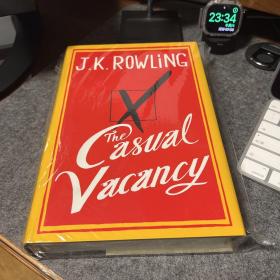 The Casual Vacancy 偶发空缺