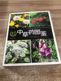 野外常见中草药图鉴