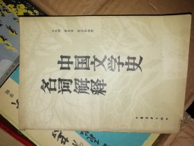 中国文学史名词解释