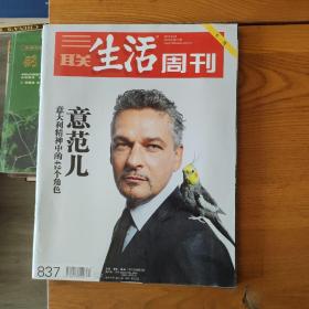 三联生活周刊 2015.21 总837期